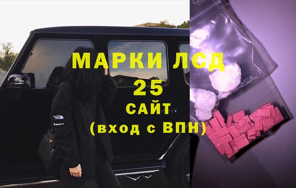 PSILOCYBIN Бородино