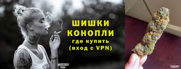 PSILOCYBIN Бородино