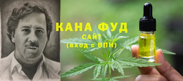 PSILOCYBIN Бородино
