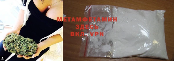PSILOCYBIN Бородино