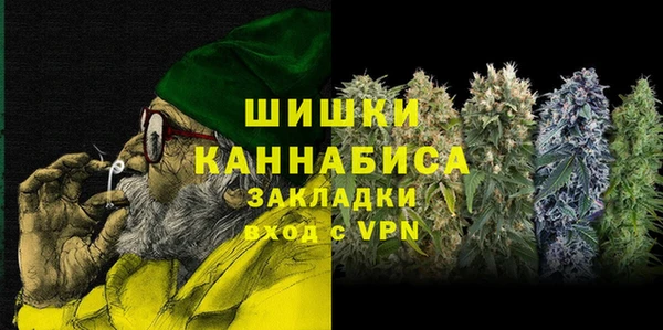 PSILOCYBIN Бородино