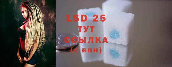 PSILOCYBIN Бородино