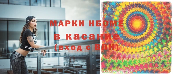 PSILOCYBIN Бородино