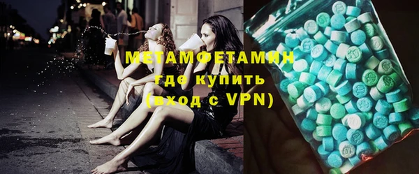 PSILOCYBIN Бородино