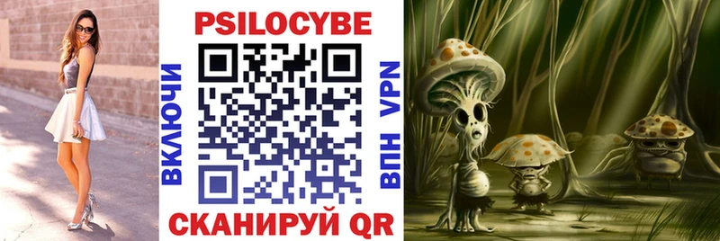 Купить  Чердынь  Псилоцибиновые грибы Cubensis 
